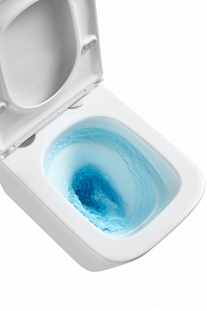 Подвесной унитаз безободковый Terminus Ватикан Monolit 490х340 белый Лобня - фото 8 Подвесной унитаз безободковый Terminus Ватикан Monolit 490х340 белый Лобня - фото 8