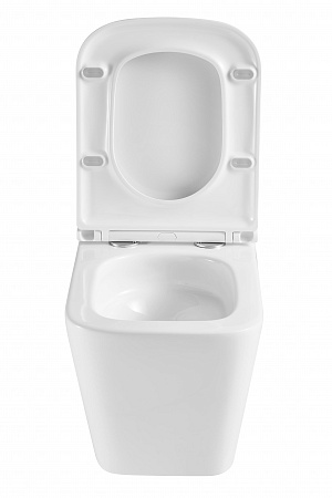 Подвесной унитаз безободковый Terminus Ватикан Monolit 490х340 белый Лобня - фото 7 Подвесной унитаз безободковый Terminus Ватикан Monolit 490х340 белый Лобня - фото 7