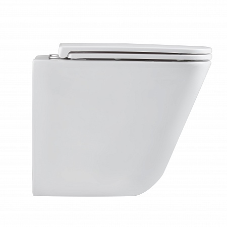 Подвесной унитаз безободковый Terminus Ватикан Monolit 490х340 белый Лобня - фото 4 Подвесной унитаз безободковый Terminus Ватикан Monolit 490х340 белый Лобня - фото 4