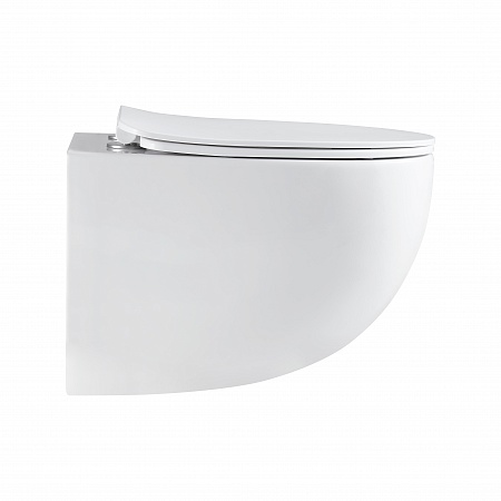 Подвесной унитаз безободковый Terminus Енисей Monolit 560х390 белый Лобня - фото 4 Подвесной унитаз безободковый Terminus Енисей Monolit 560х390 белый Лобня - фото 4