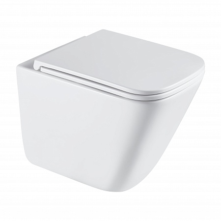 Подвесной унитаз безободковый Terminus Ватикан Monolit 490х340 белый Лобня - фото 2 Подвесной унитаз безободковый Terminus Ватикан Monolit 490х340 белый Лобня - фото 2