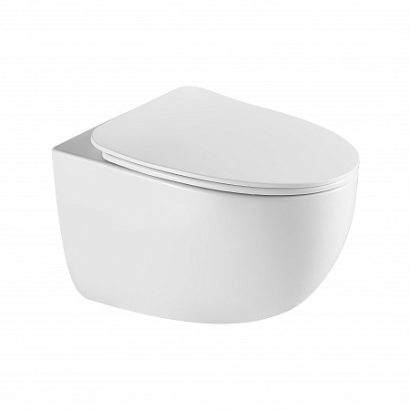 Подвесной унитаз безободковый Terminus Енисей Monolit 560х390 белый Лобня - фото 2 Подвесной унитаз безободковый Terminus Енисей Monolit 560х390 белый Лобня - фото 2