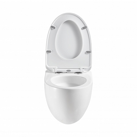 Подвесной унитаз безободковый Terminus Енисей Monolit 560х390 белый Лобня - фото 5 Подвесной унитаз безободковый Terminus Енисей Monolit 560х390 белый Лобня - фото 5