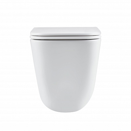 Подвесной унитаз безободковый Terminus Ватикан Monolit 490х340 белый Лобня - фото 6 Подвесной унитаз безободковый Terminus Ватикан Monolit 490х340 белый Лобня - фото 6