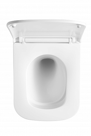 Подвесной унитаз безободковый Terminus Ватикан Monolit 490х340 белый Лобня - фото 3 Подвесной унитаз безободковый Terminus Ватикан Monolit 490х340 белый Лобня - фото 3